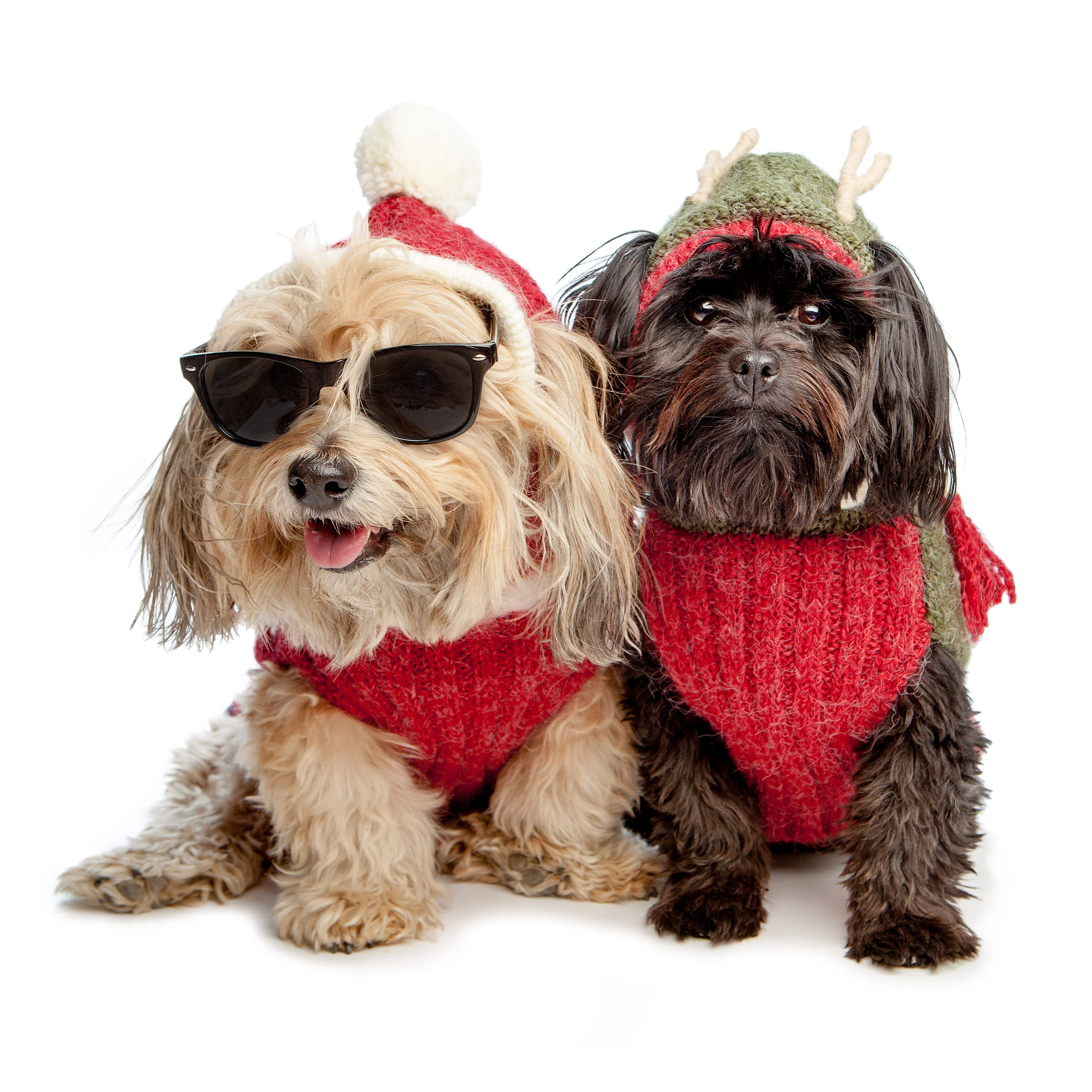 Santa Paws Hand Knit Dog Sweater (FINAL SALE) - Image 12