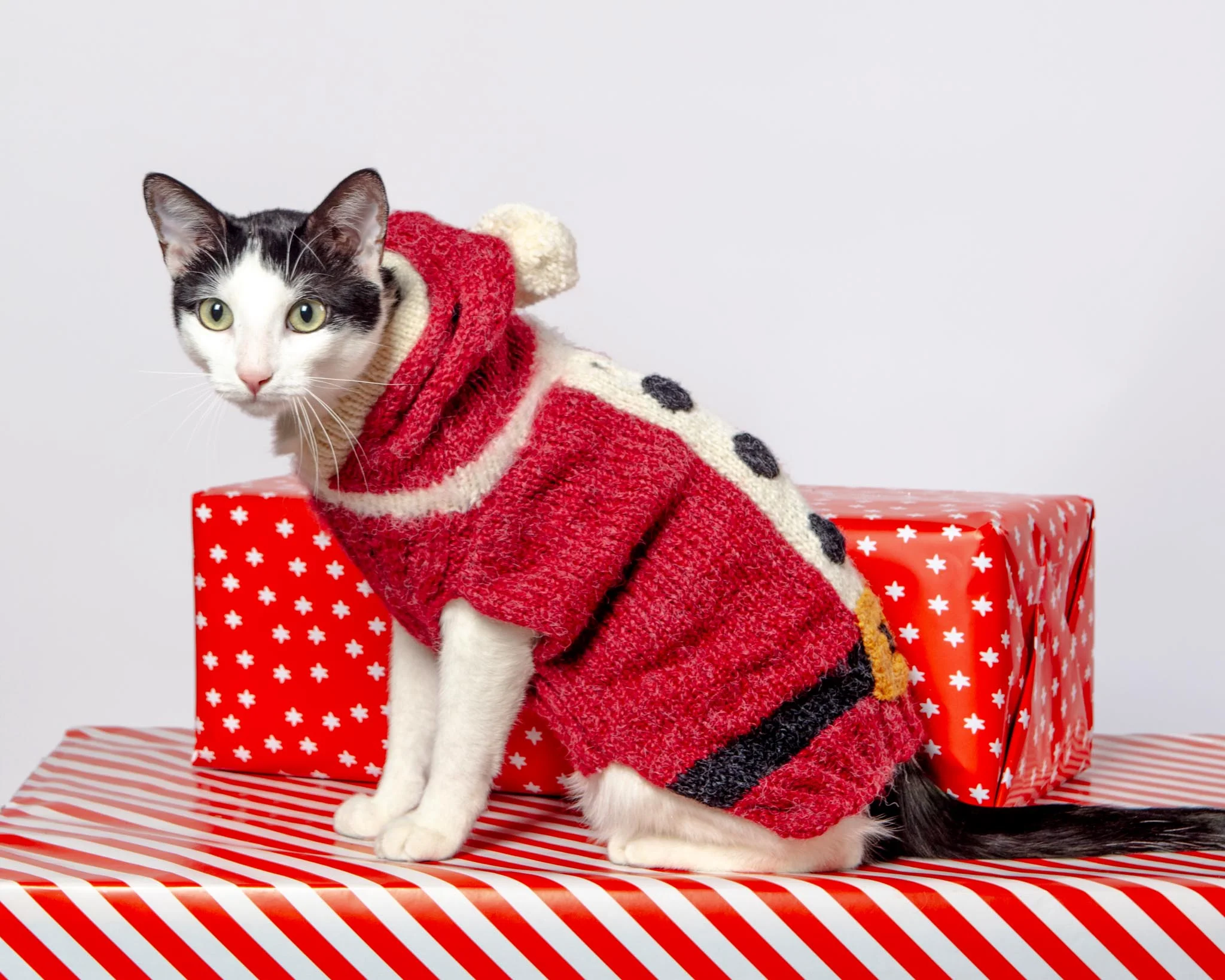Santa Paws Hand Knit Dog Sweater (FINAL SALE) - Image 2
