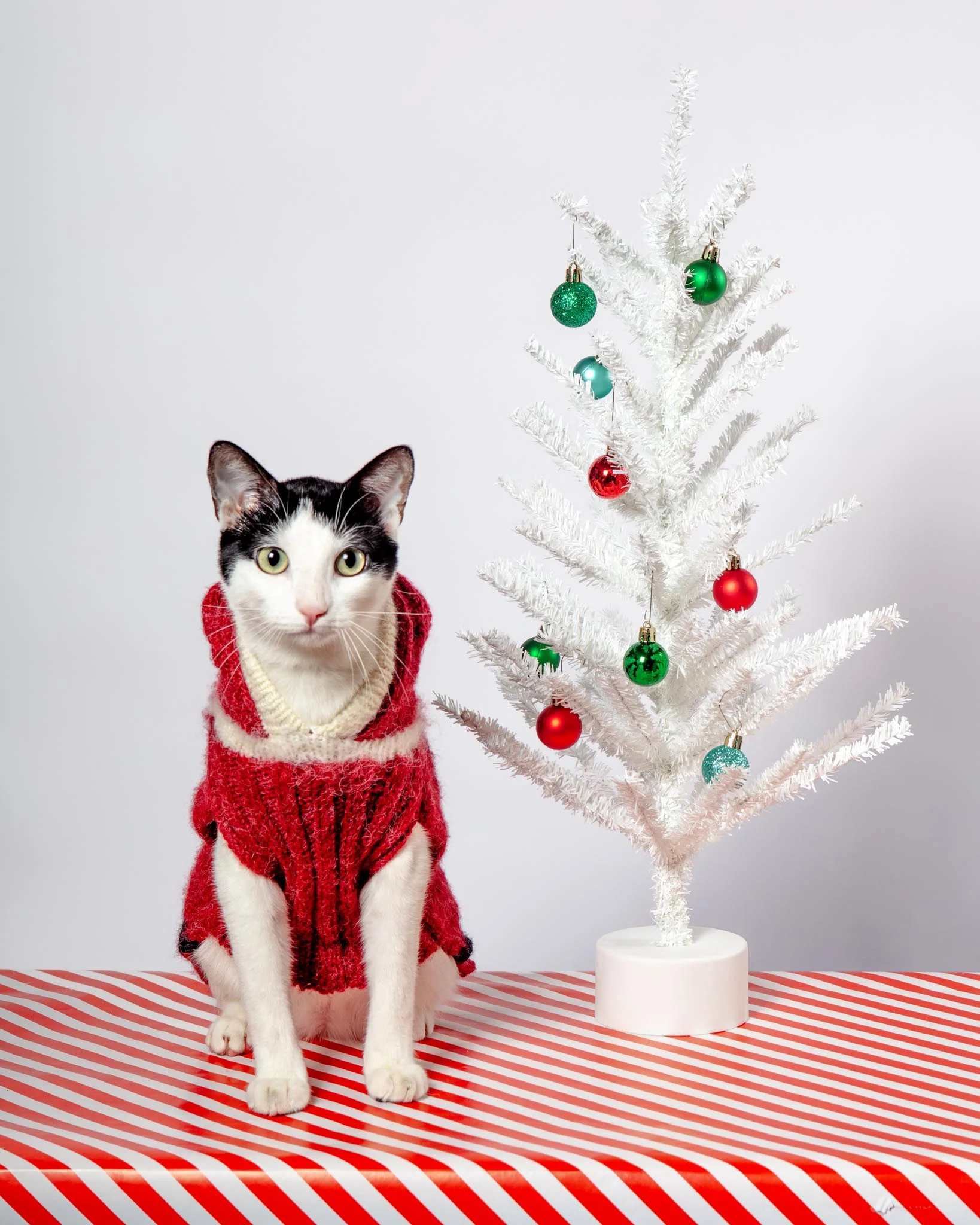 Santa Paws Hand Knit Dog Sweater (FINAL SALE) - Image 3