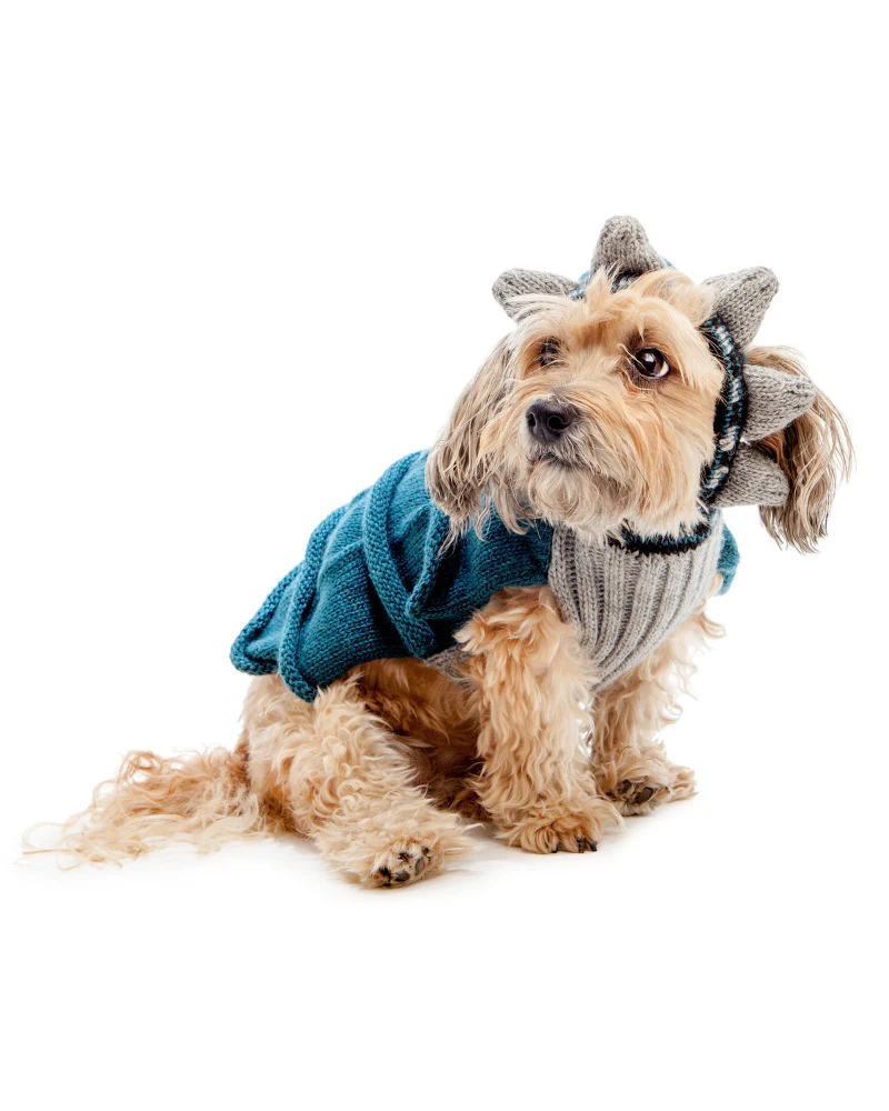 Statue of Liberty Sweater (Dog & Co. Exclusive) (FINAL SALE) - Image 3