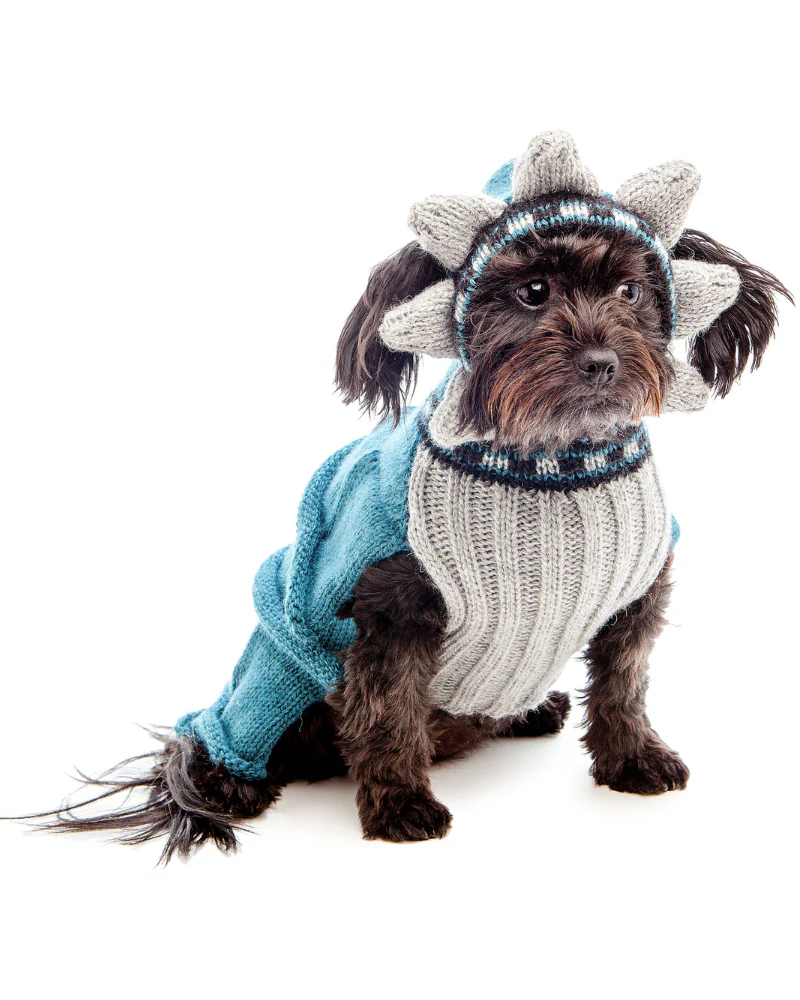 Statue of Liberty Sweater (Dog & Co. Exclusive) (FINAL SALE) - Image 4