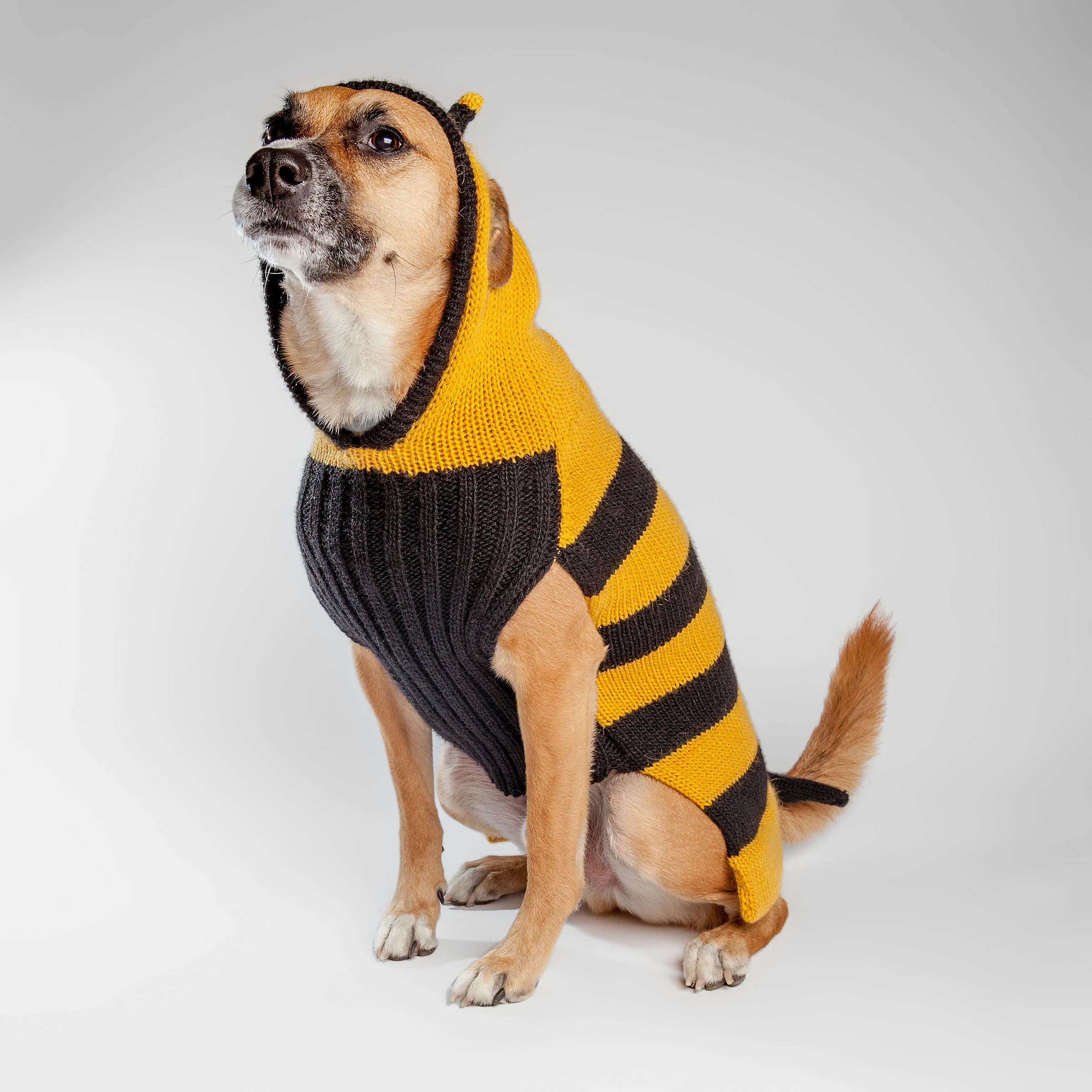 PERUVIAN KNITS | Bumble Bee Sweater - Image 5