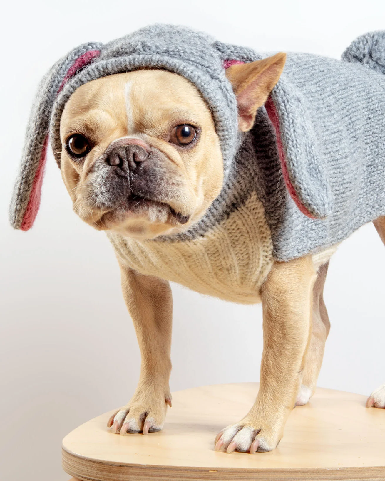 Ear-Resistable Hand-Knit Bunny Dog Sweater (DOG & CO. Exclusive) (FINAL SALE) - Image 2