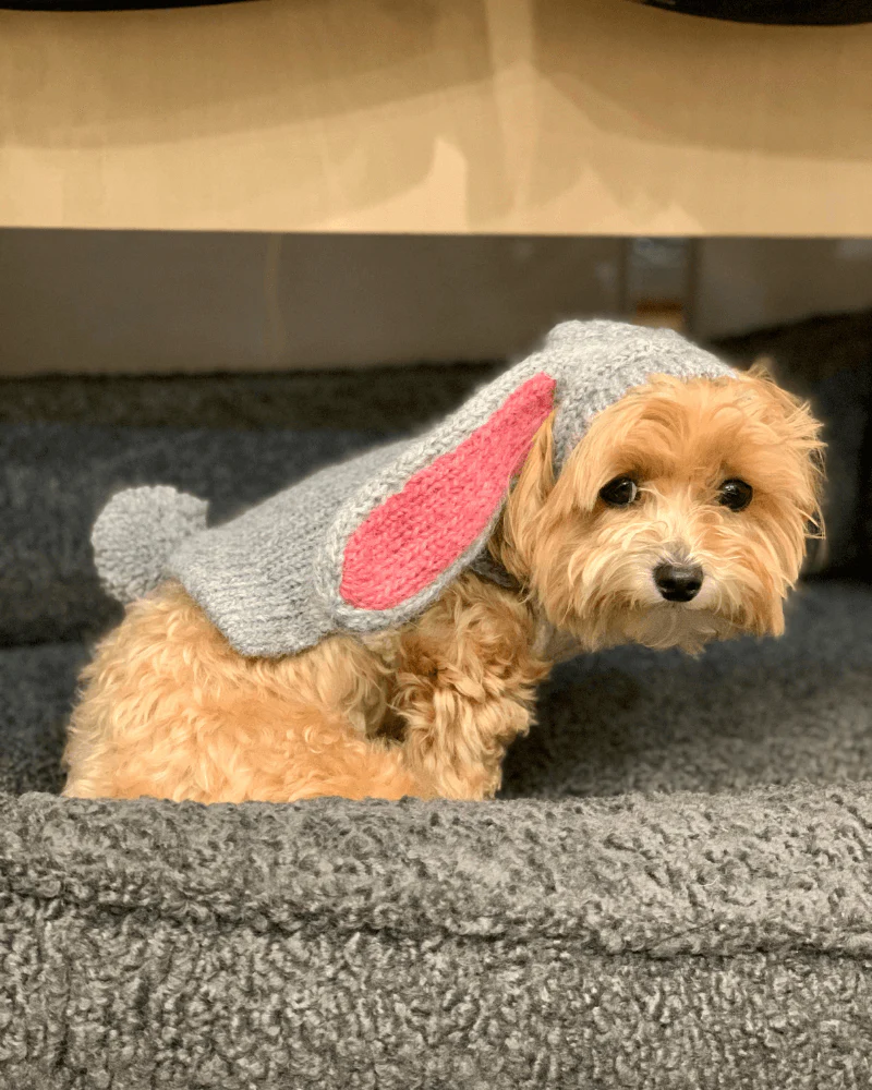 Ear-Resistable Hand-Knit Bunny Dog Sweater (DOG & CO. Exclusive) (FINAL SALE) - Image 6