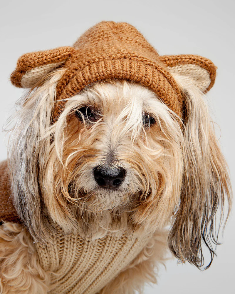 Teddy Bear Handknit Dog Sweater - Image 2