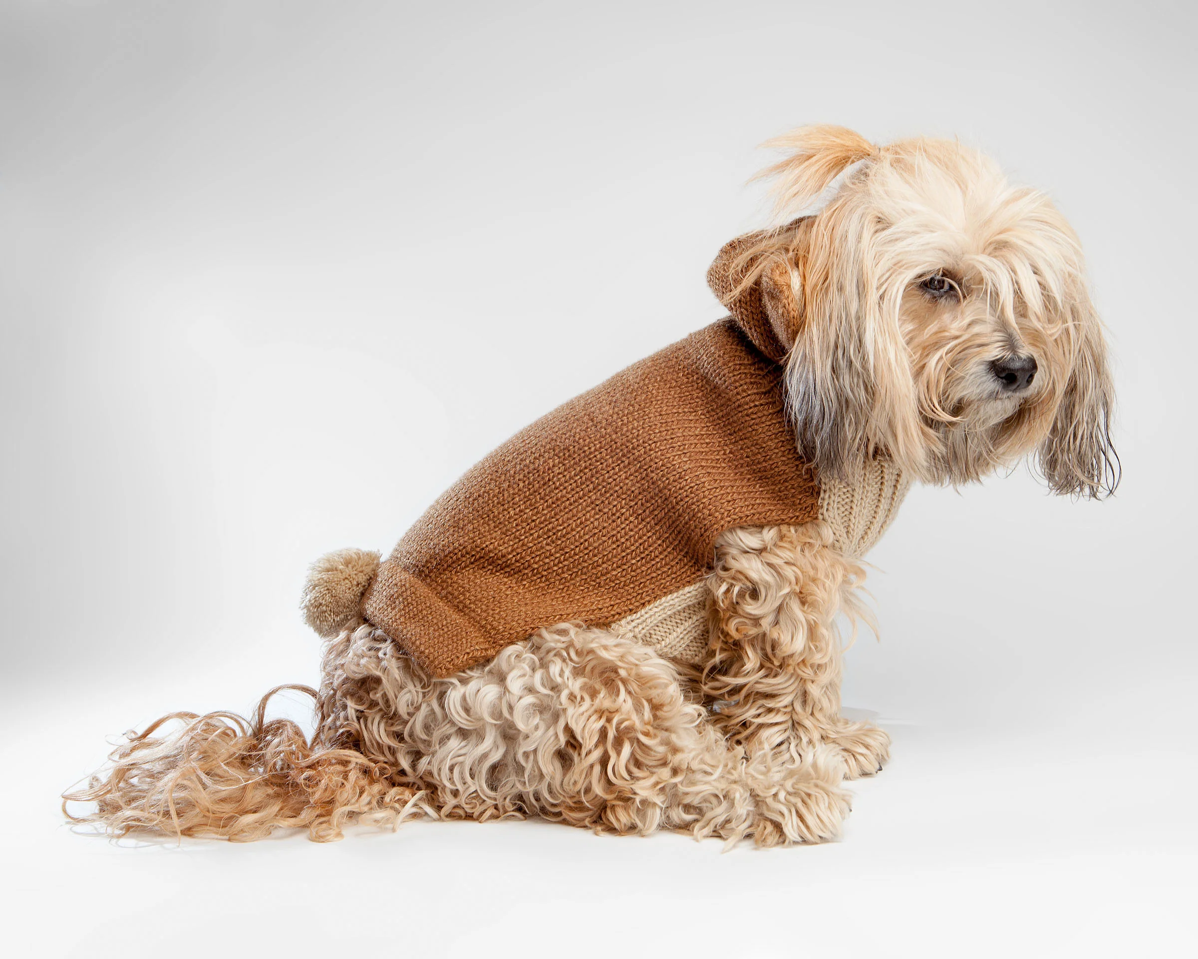 Teddy Bear Handknit Dog Sweater - Image 5