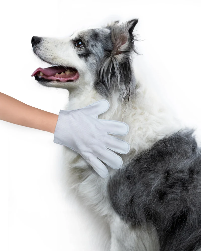 Pet Glove Wipes - Image 2