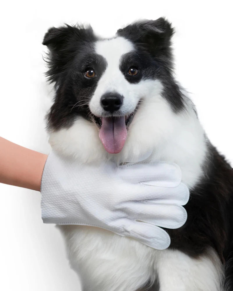 Pet Glove Wipes - Image 5
