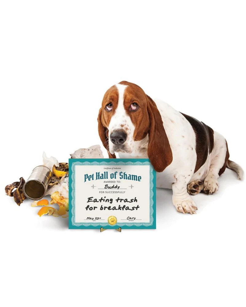 Pet Hall Of Shame Dry Erase Board<br>(FINAL SALE)
