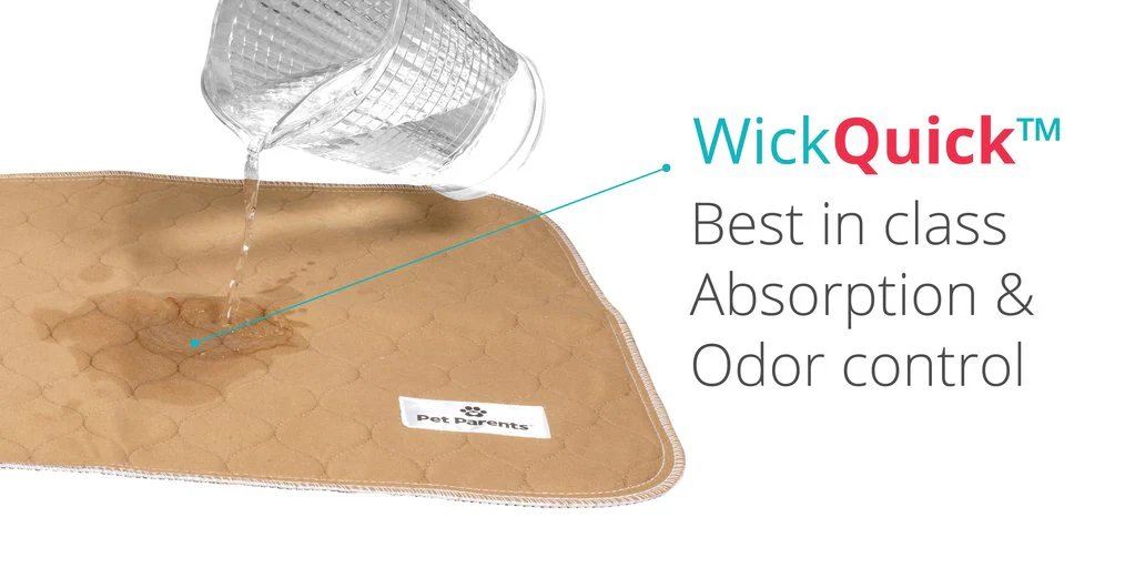 PET PARENTS | Washable Pee Pads (2-pack) - Image 2