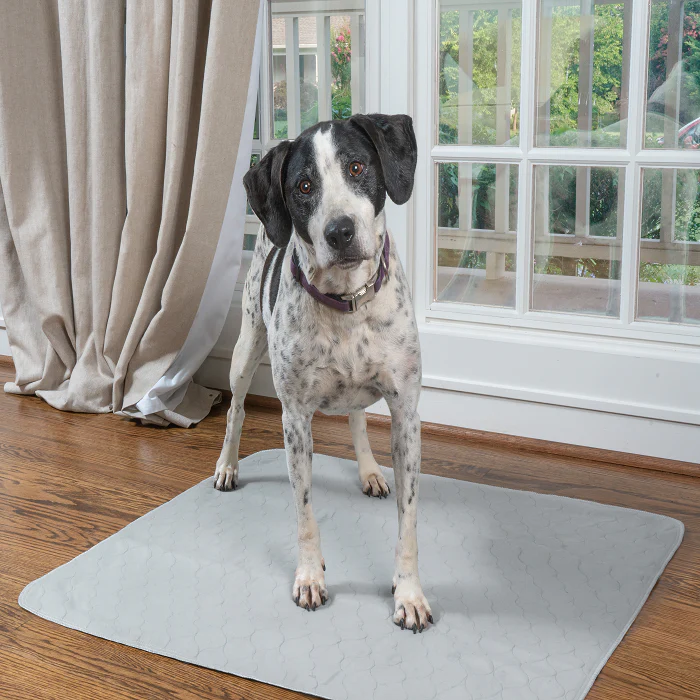 PET PARENTS | Washable Pee Pads (2-pack) - Image 4