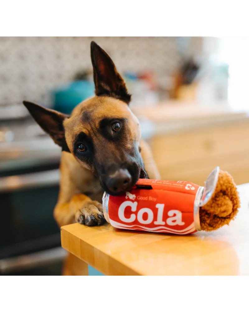 Good Boy Soda Cola Dog Toy - Image 5