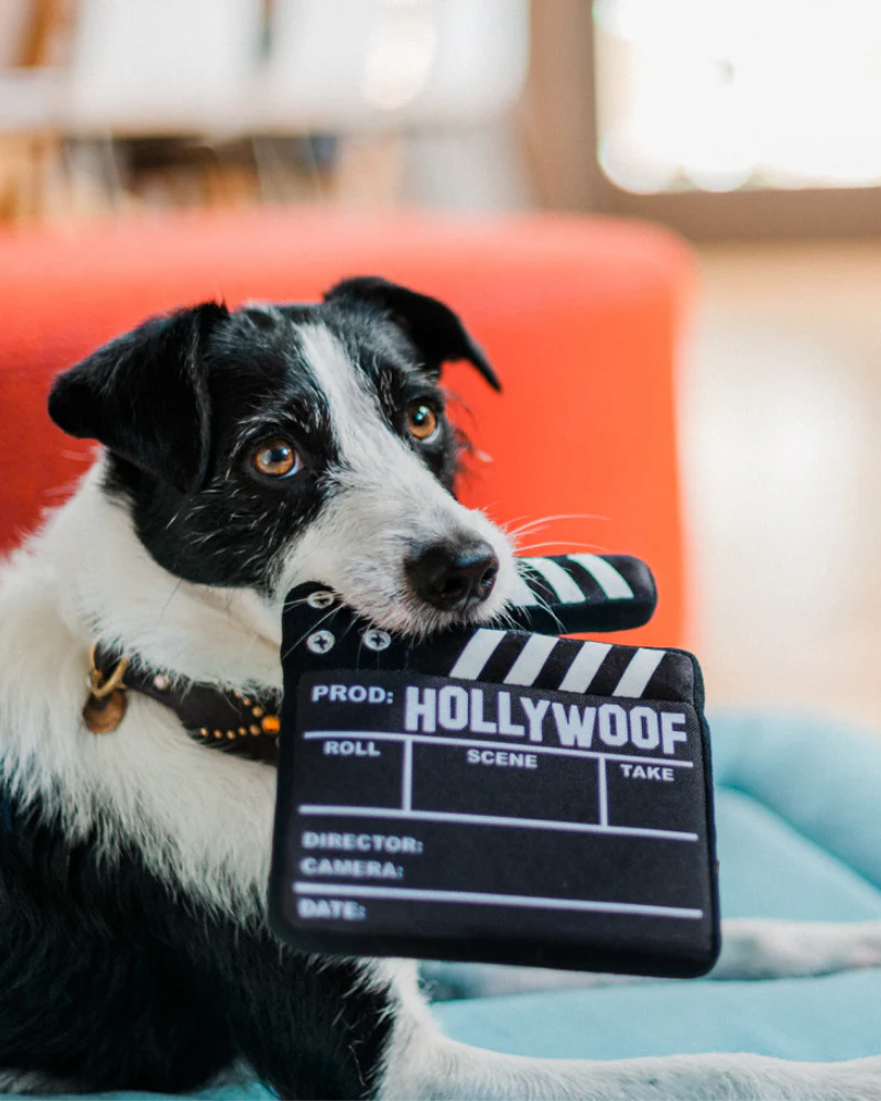 Doggy Director Board Hollywoof Collection Dog Toy (FINAL SALE) - Image 7