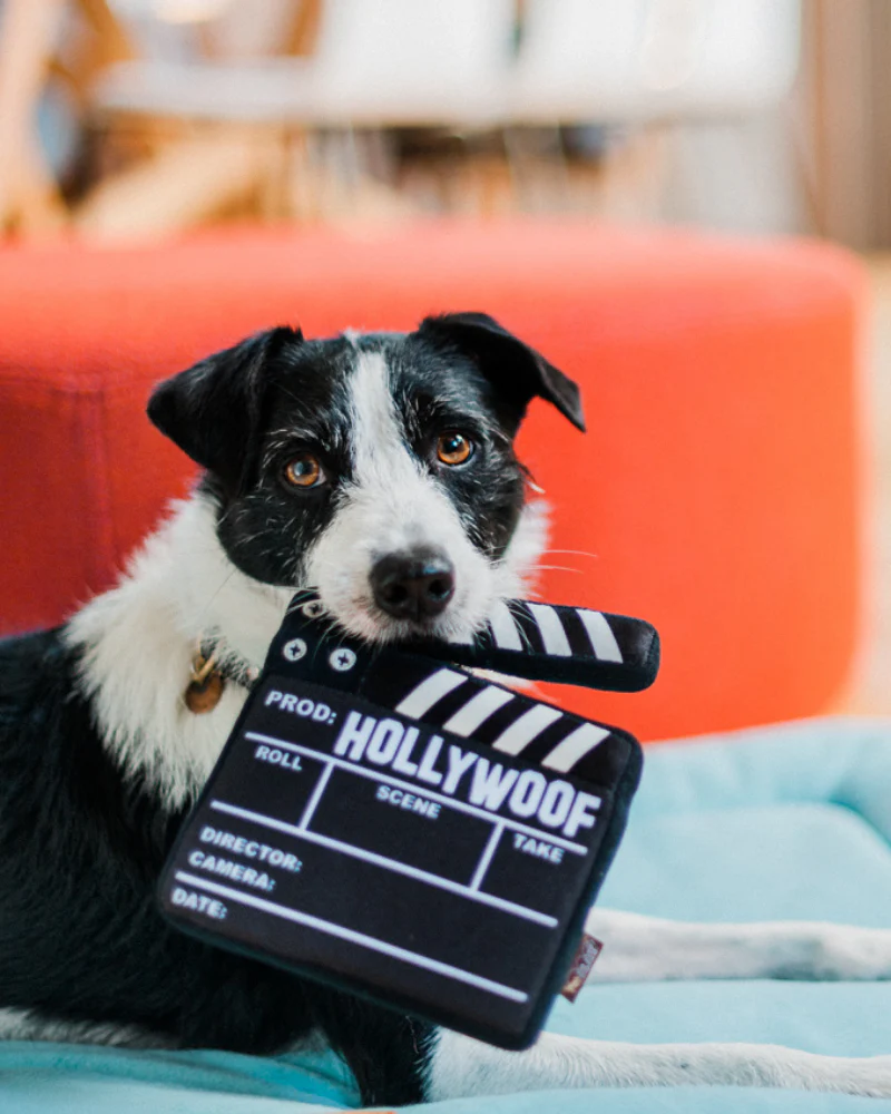 Doggy Director Board Hollywoof Collection Dog Toy (FINAL SALE) - Image 8