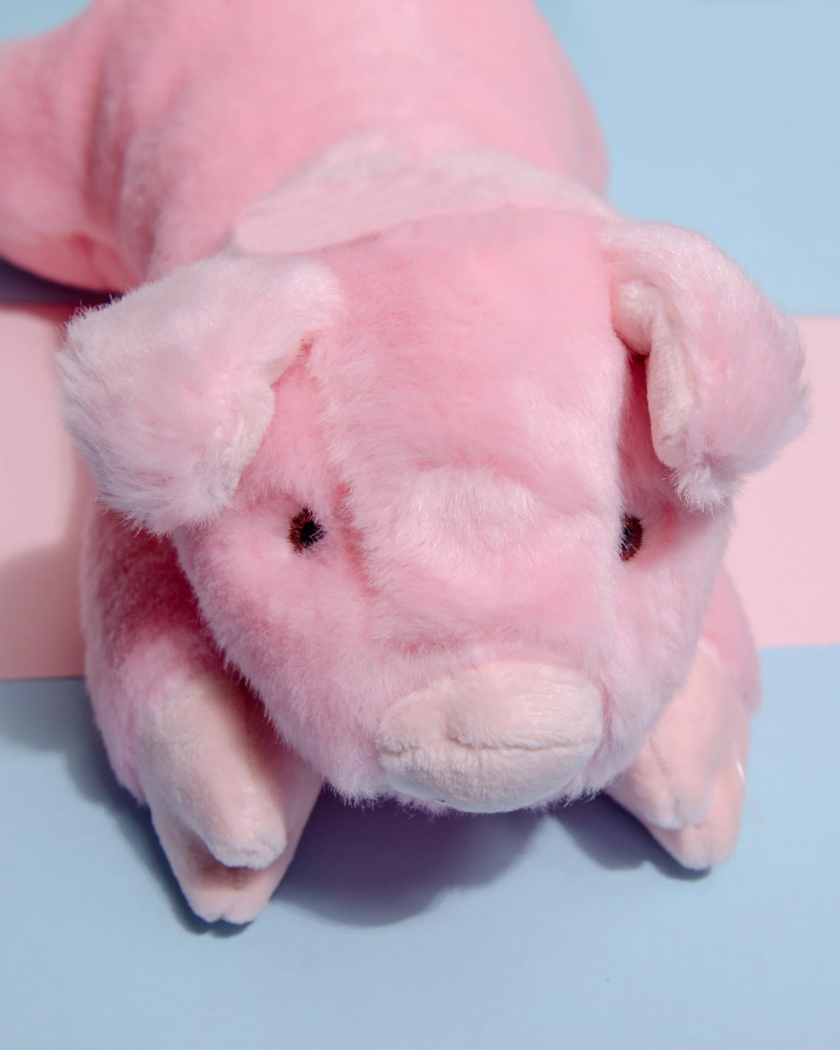Petey Pig Plush Squeaky Dog Toy - Image 3