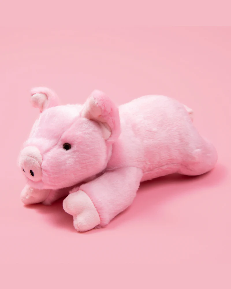 Petey Pig Plush Squeaky Dog Toy - Image 4