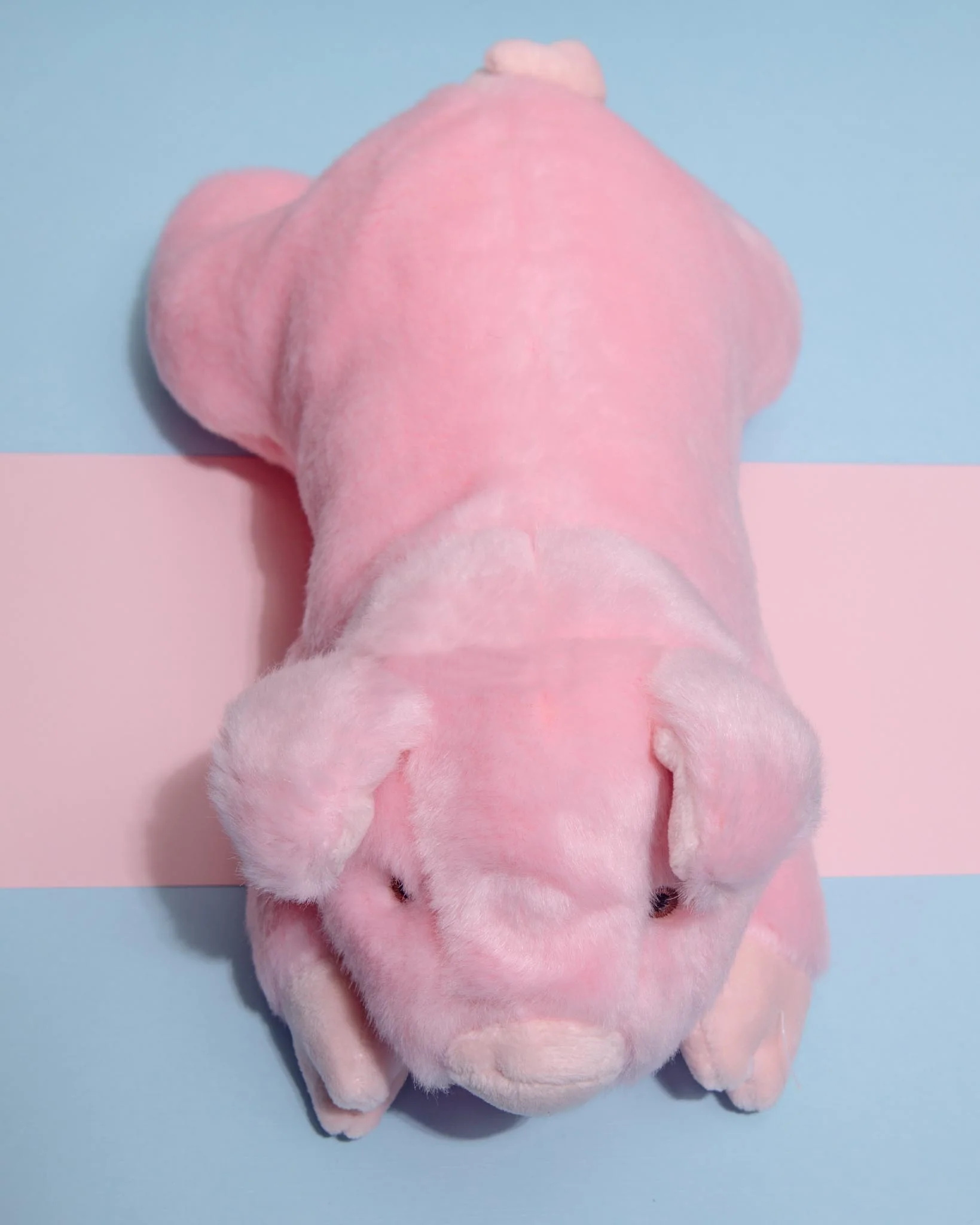 Petey Pig Plush Squeaky Dog Toy - Image 5