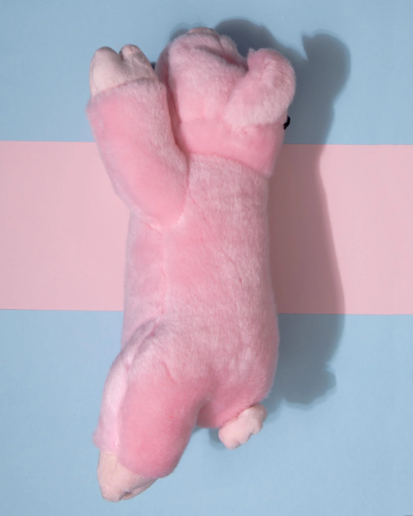Petey Pig Plush Squeaky Dog Toy - Image 7