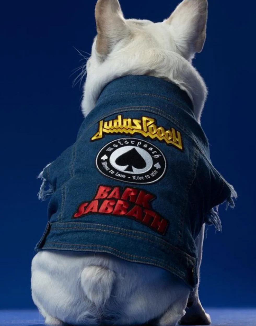 Raw Blue Denim Dog Jacket with Patches << CLEARANCE >> - Image 3