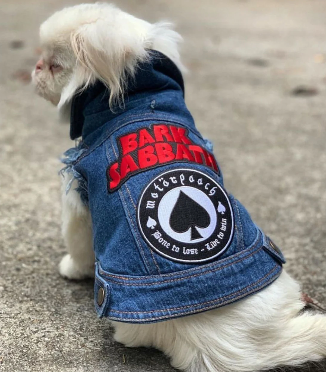 Raw Blue Denim Dog Jacket with Patches << CLEARANCE >> - Image 5