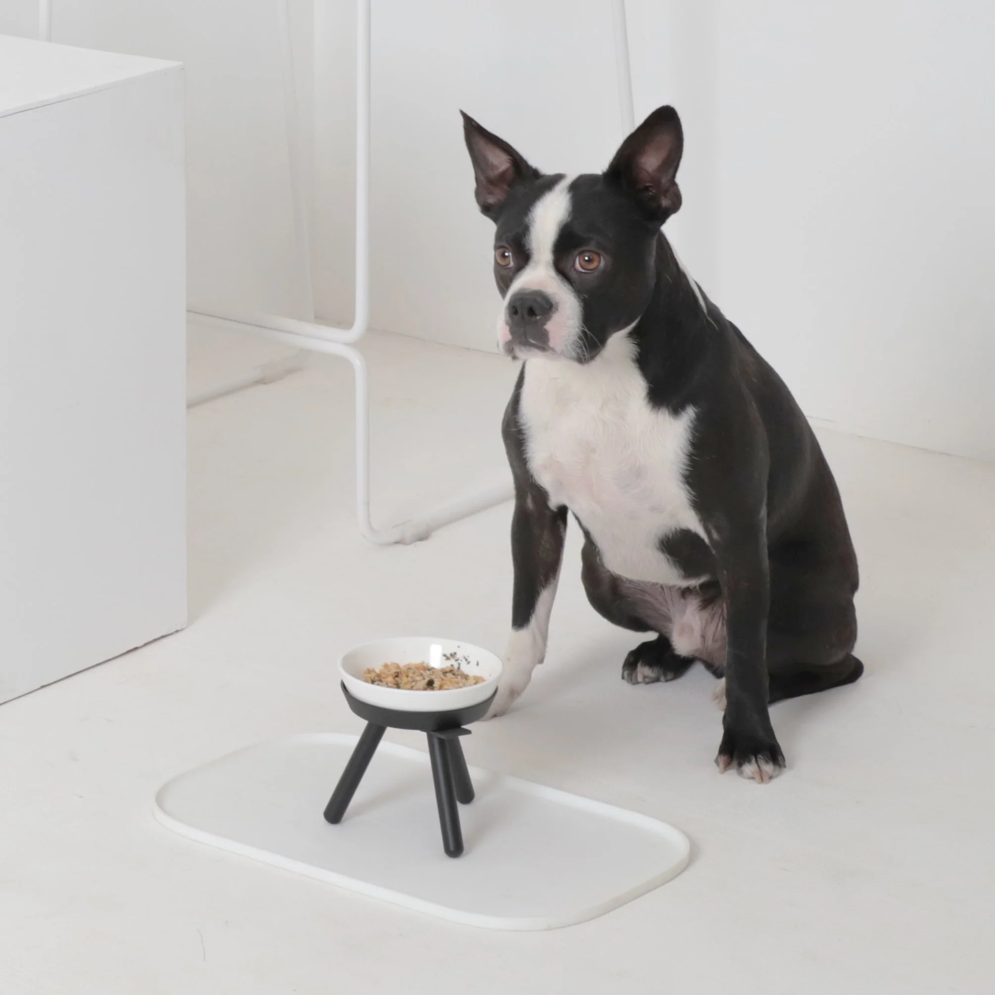 Elevated Ceramic Dog Bowl W/ Stand in Black (Tall) - Image 3