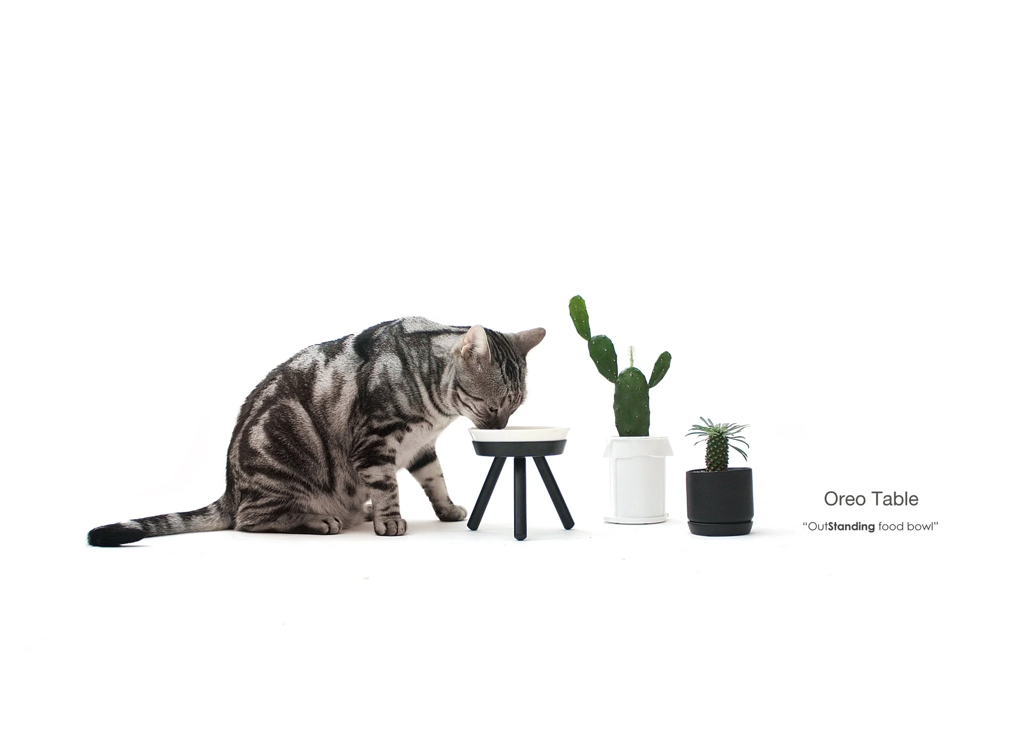 Elevated Ceramic Dog Bowl W/ Stand in Black (Tall) - Image 7
