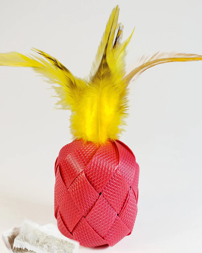 Piña Catlada Catnip Toy - Image 3