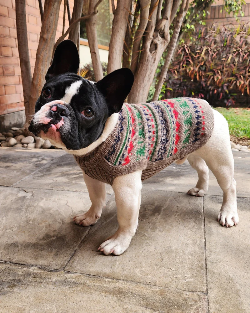 Pine Tree Alpaca Dog Sweater (FINAL SALE) - Image 4