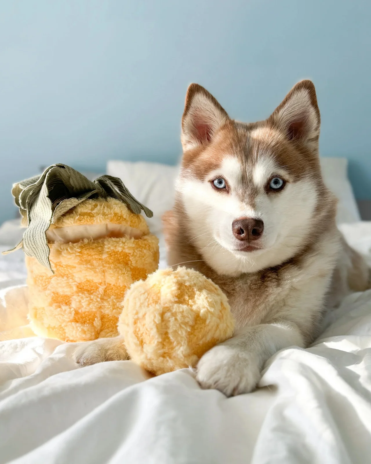 Pineapple Enrichment Plush Dog Toy - Image 2
