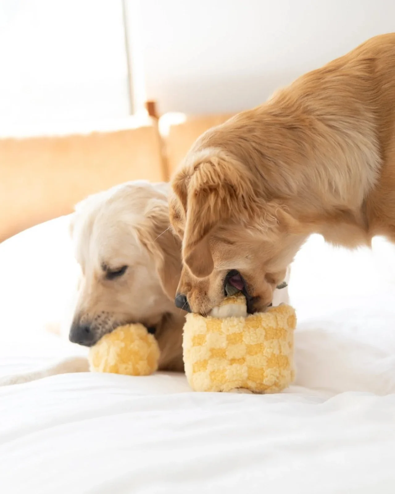 Pineapple Enrichment Plush Dog Toy - Image 4
