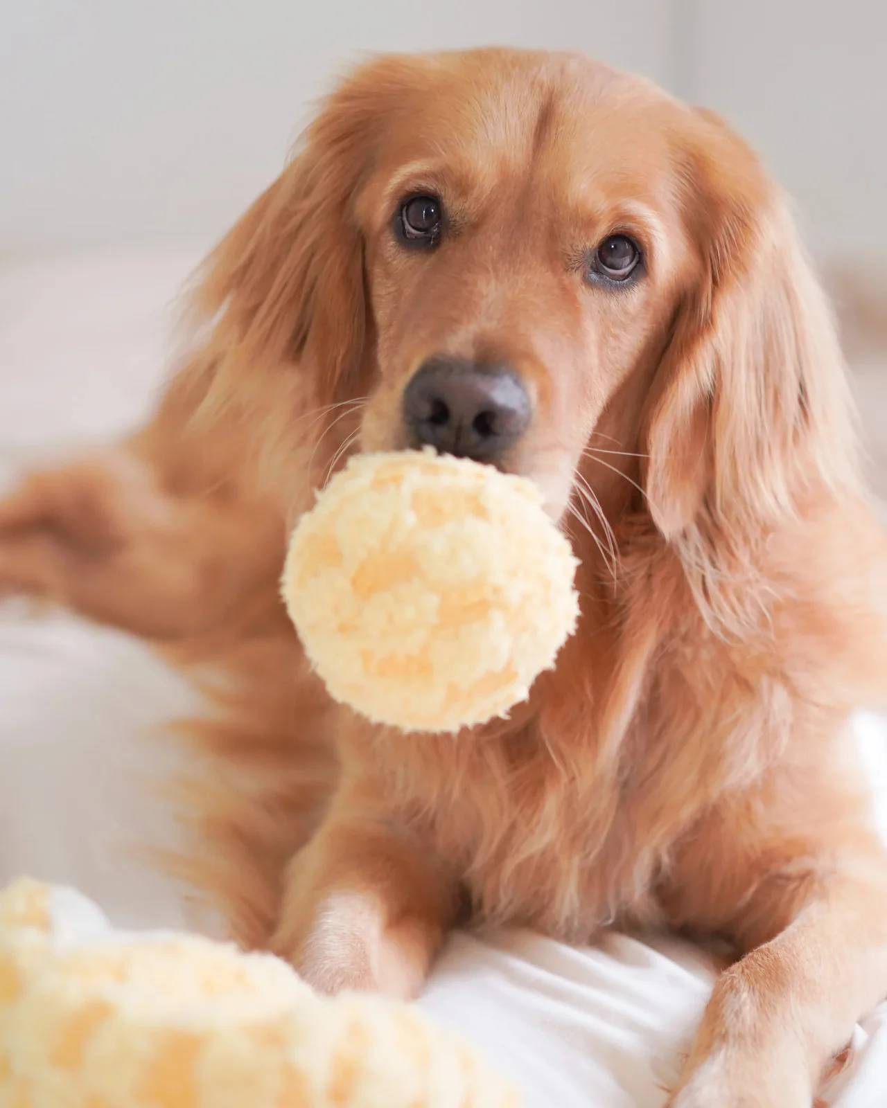 Pineapple Enrichment Plush Dog Toy - Image 5