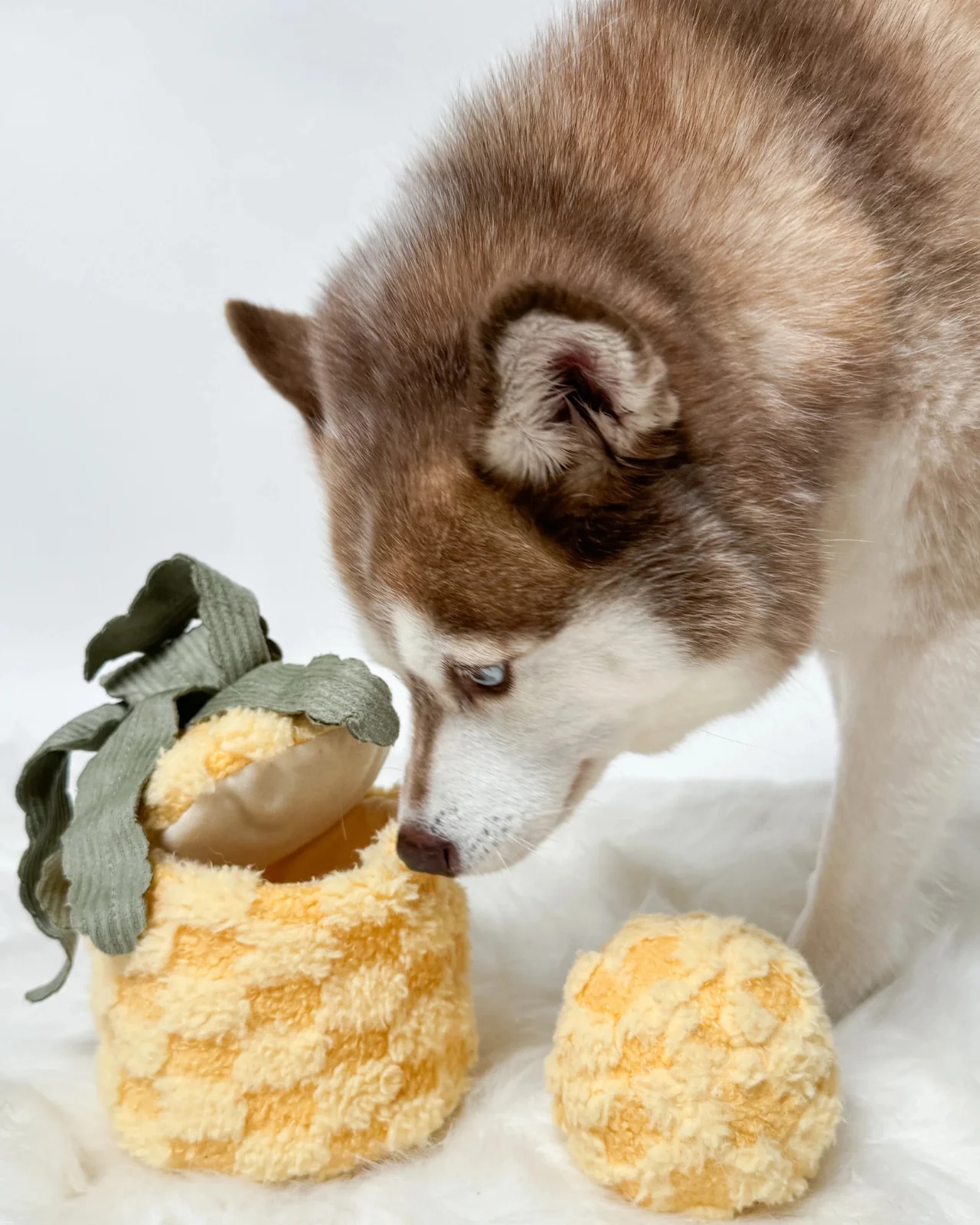 Pineapple Enrichment Plush Dog Toy - Image 6