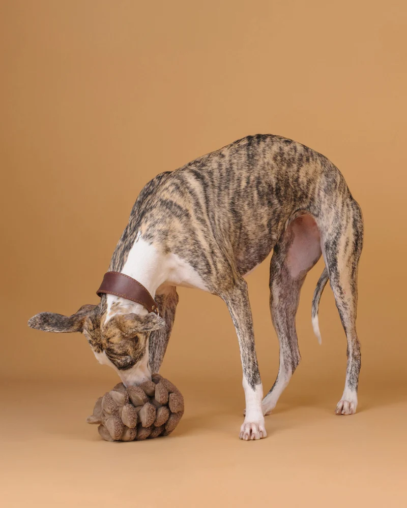 Pinecone Snuffle & Squeak Dog toy - Image 2