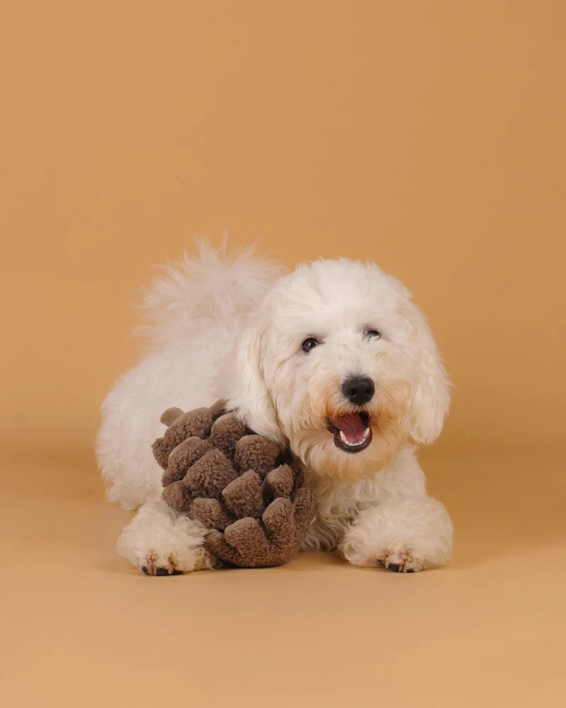 Pinecone Snuffle & Squeak Dog toy - Image 3