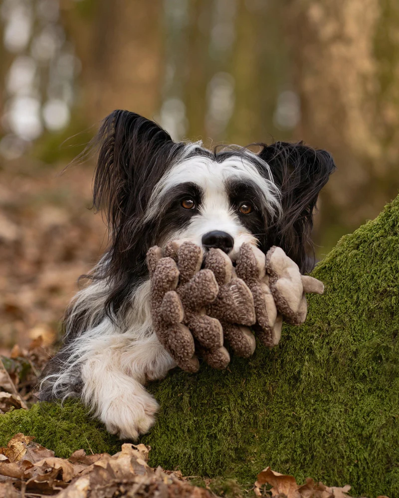 Pinecone Snuffle & Squeak Dog toy - Image 4