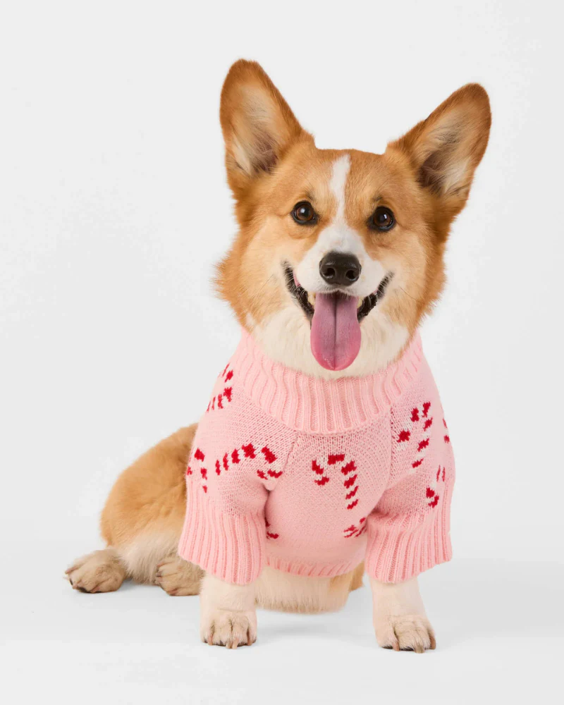 Pink Candy Cane Dog Sweater (FINAL SALE) - Image 3