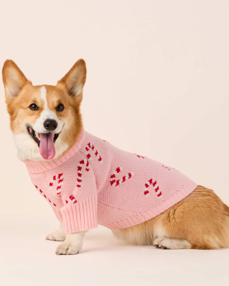 Pink Candy Cane Dog Sweater (FINAL SALE) - Image 4