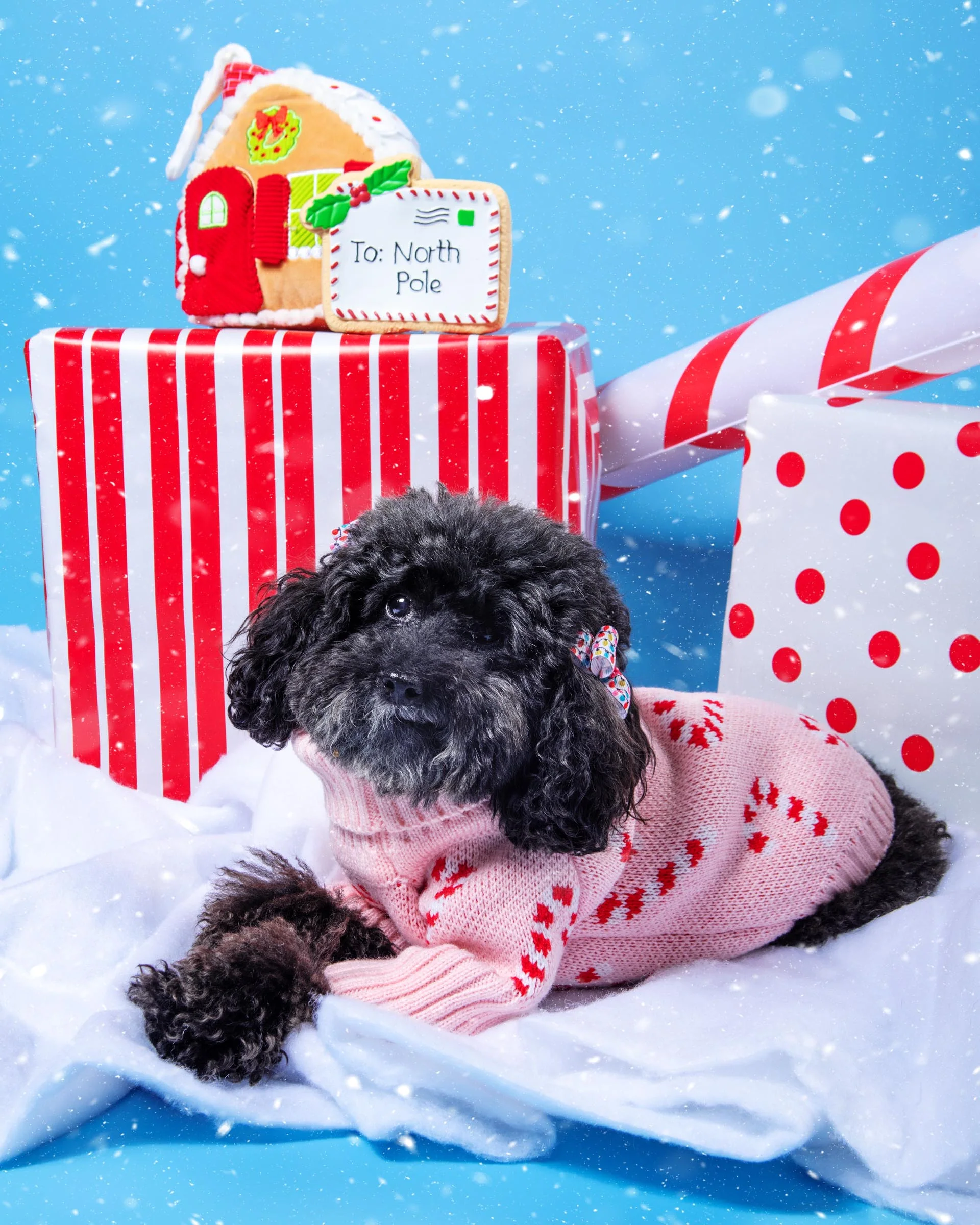Pink Candy Cane Dog Sweater (FINAL SALE) - Image 5