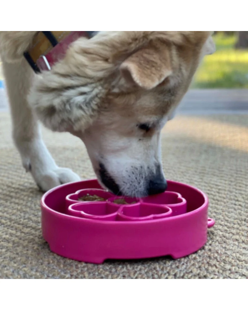 Pink Flower Slow Feeder for Dogs (Made in the USA) - Image 5