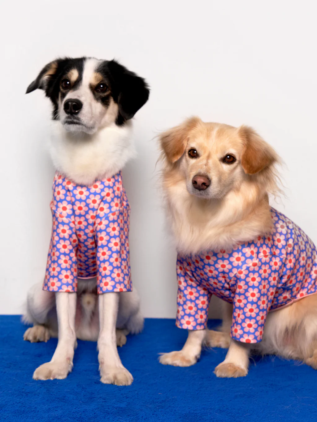 Pink Lotus Dog Shirt - Image 4