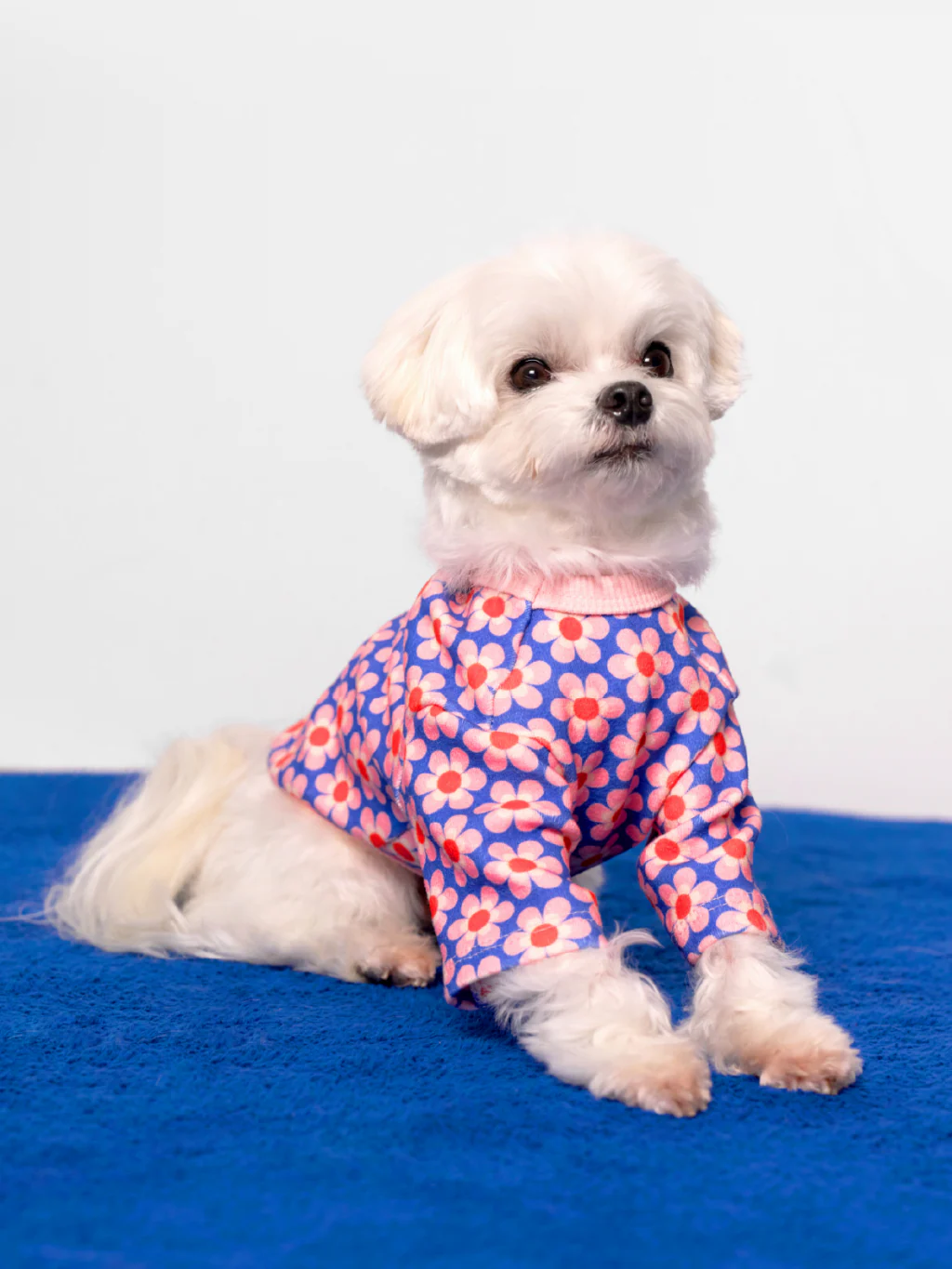 Pink Lotus Dog Shirt - Image 6