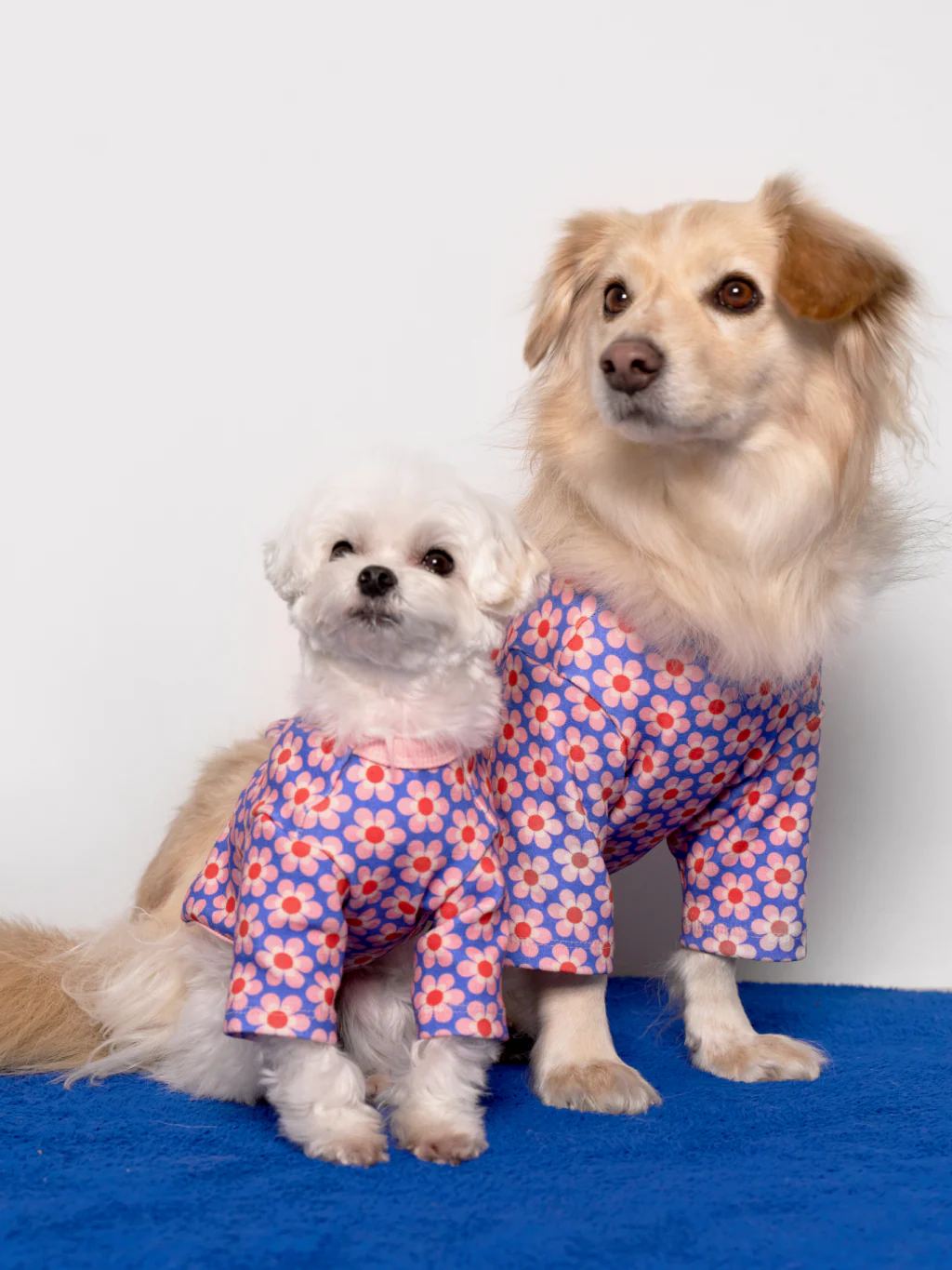 Pink Lotus Dog Shirt - Image 8