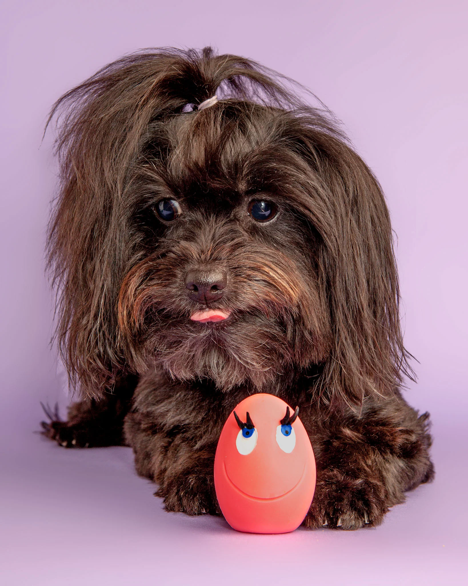 Pink & Orange Squeaky Latex Dog Toy Egg Carton - Image 2