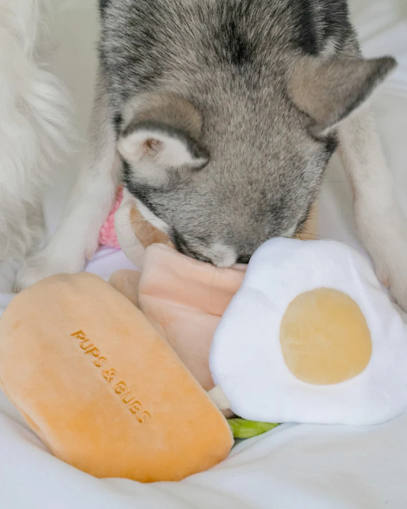 Pita Pocket Nosework Dog Toy - Image 4
