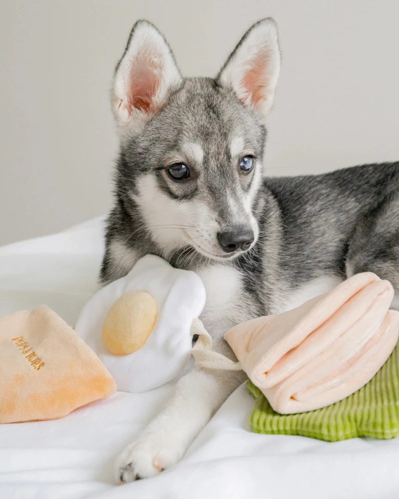 Pita Pocket Nosework Dog Toy - Image 5