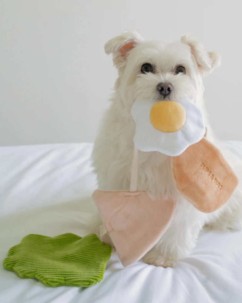 Pita Pocket Nosework Dog Toy - Image 6