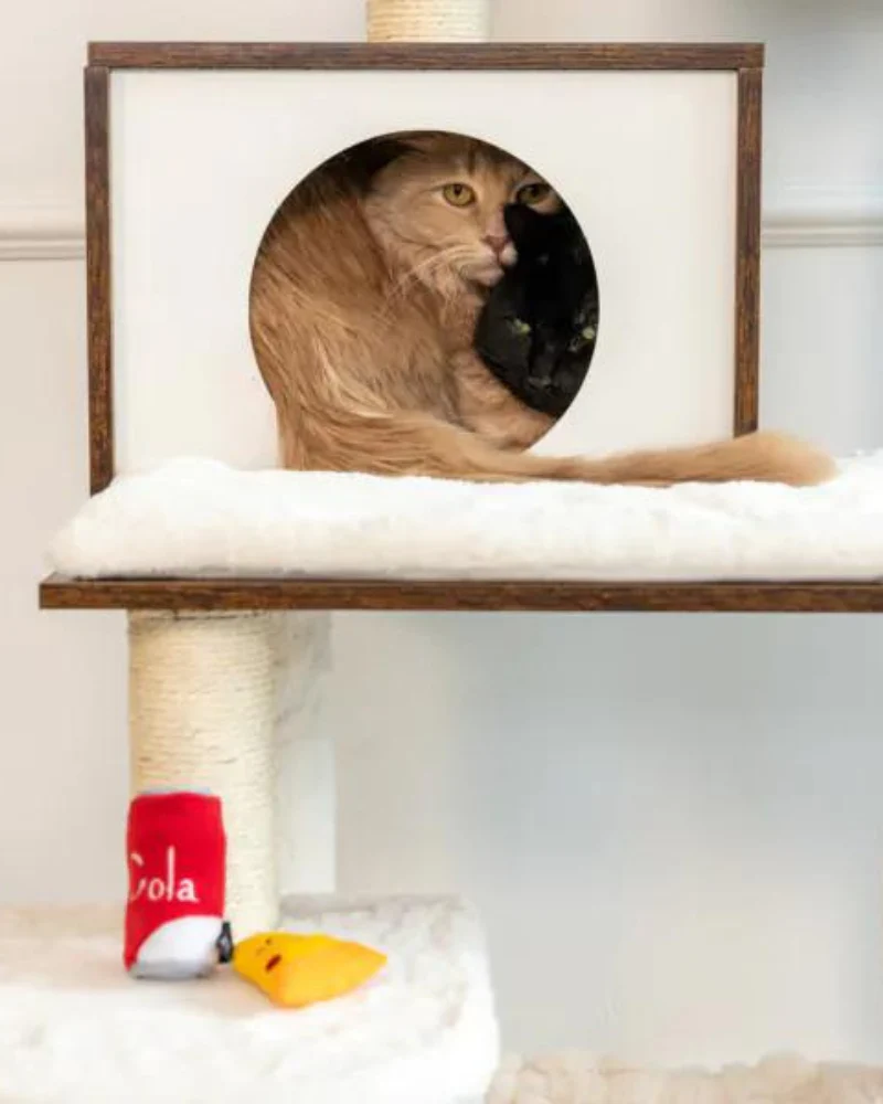 Pizza & Cola Catnip Toys - Image 3