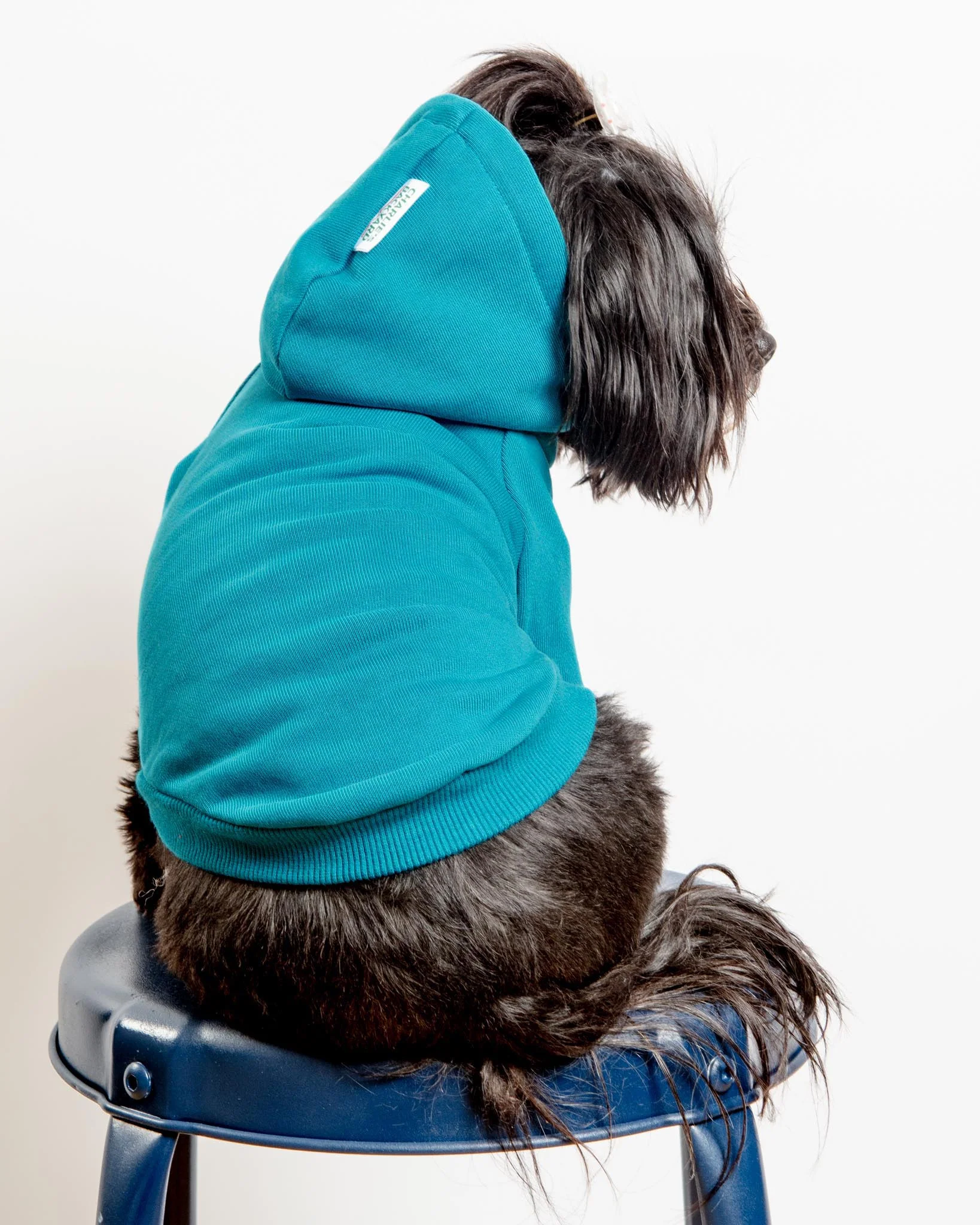 Dog Hoodie in Teal (CLEARANCE) - Image 3