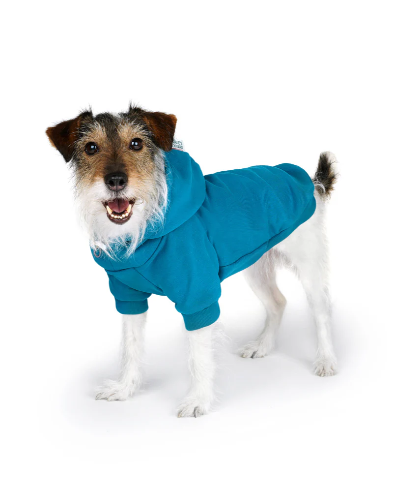 Dog Hoodie in Teal (CLEARANCE) - Image 6