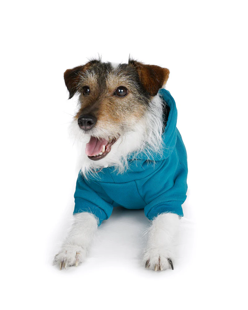Dog Hoodie in Teal (CLEARANCE) - Image 7